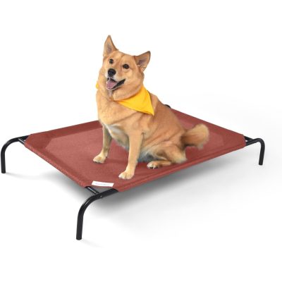 Coolaroo Elevated Dog Bed