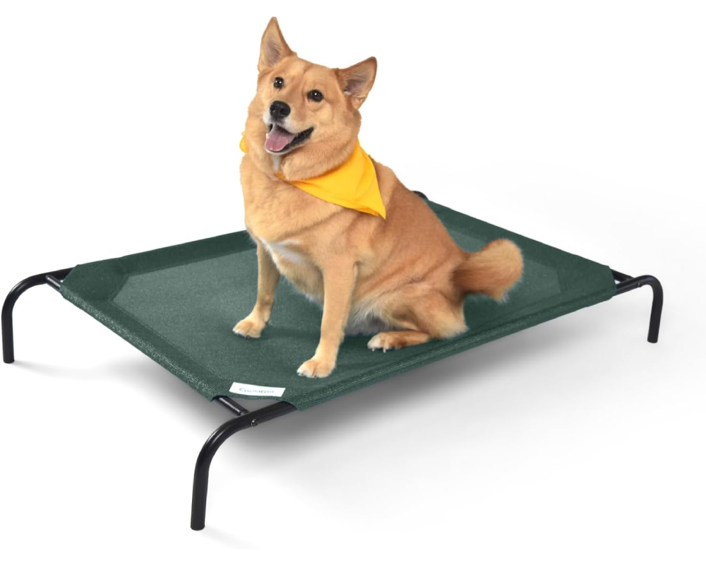 Coolaroo Gale Pacific The Original Cooling Elevated Dog Bed 