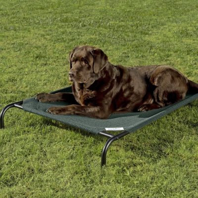 Coolaroo Steel-Framed Elevated Dog Bed