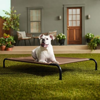Frisco Steel-Framed Elevated Dog Bed