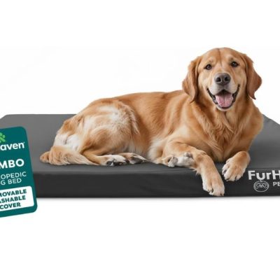 Furhaven Deluxe Oxford Orthopedic Dog Bed