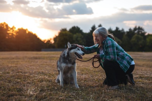 Thinking about becoming a professional pet sitter? This week celebrates this wonderful profession.