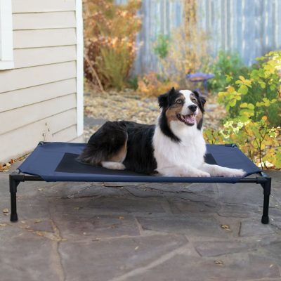 K&H Pet Products Elevated Dog Bed