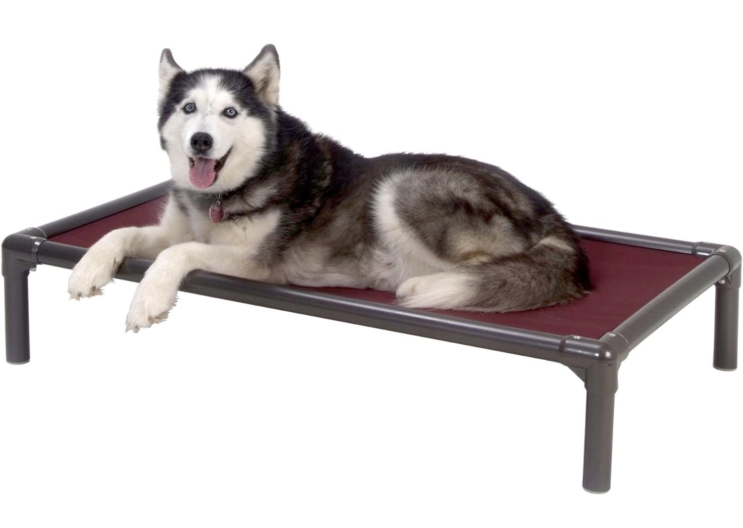 Kuranda Elevated Dog Bed new