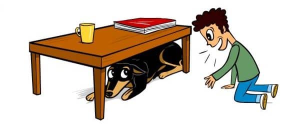 the dog lifted its legs