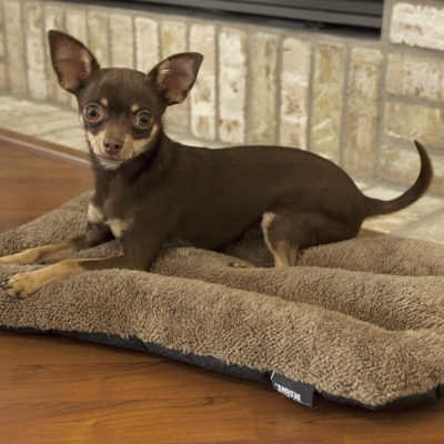 SportPet Designs Waterproof Plush Dog Bed