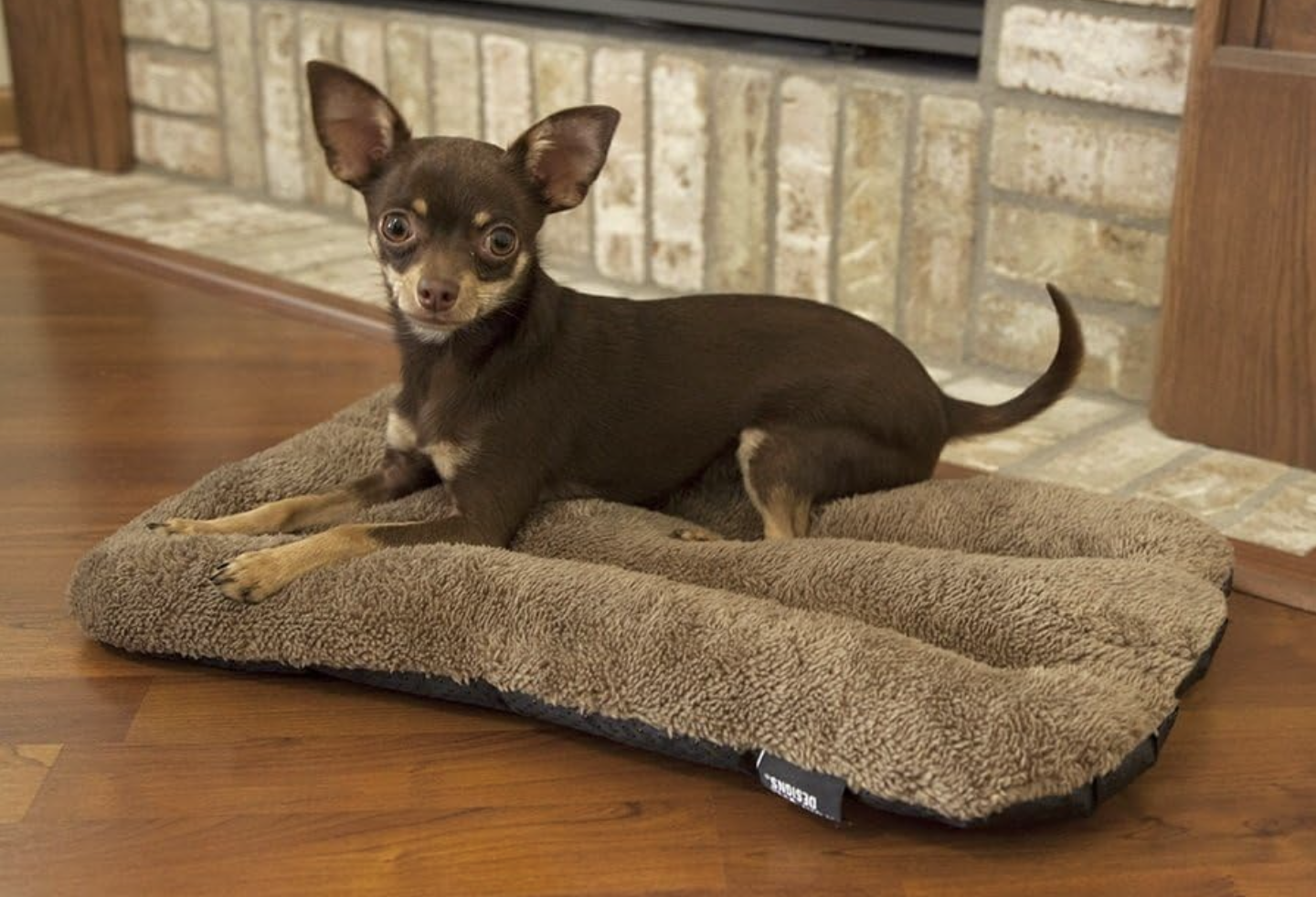 SportPet Designs Waterproof Pet Bed