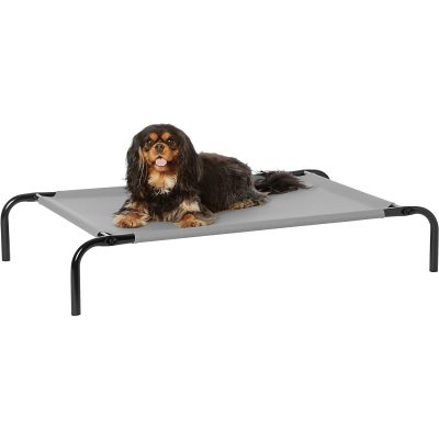 Amazon Basics Cooling Elevated Pet Bed