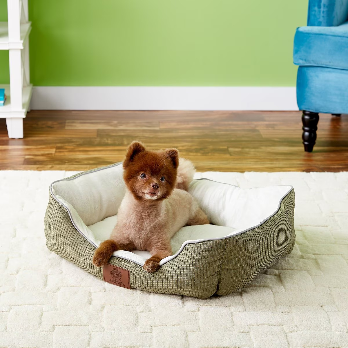 American Kennel Club Bolster Dog Bed