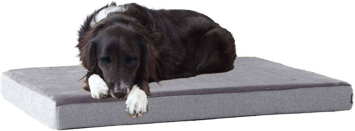 Barkbox Orthopedic Dog Bed