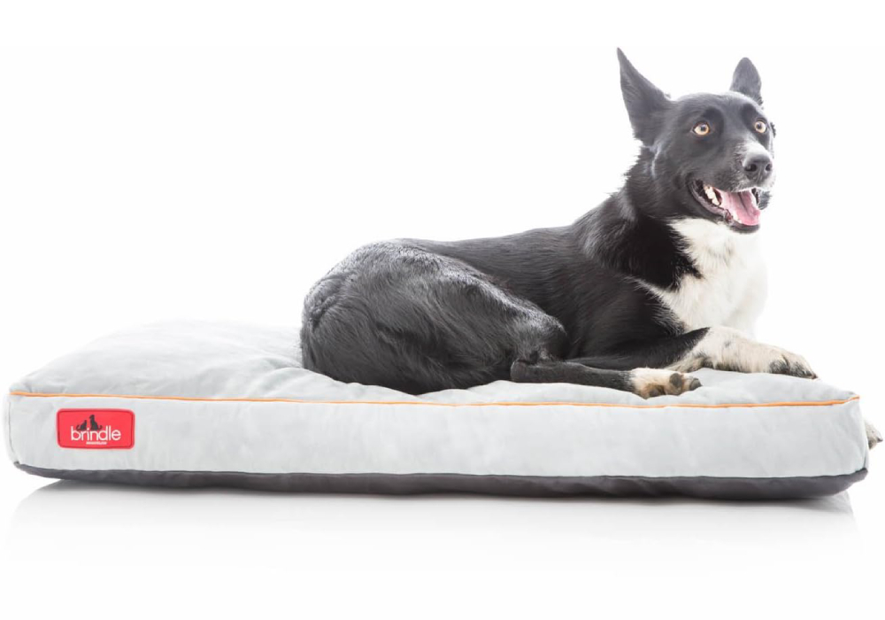 Brindle Shredded Memory Foam Dog Bed 