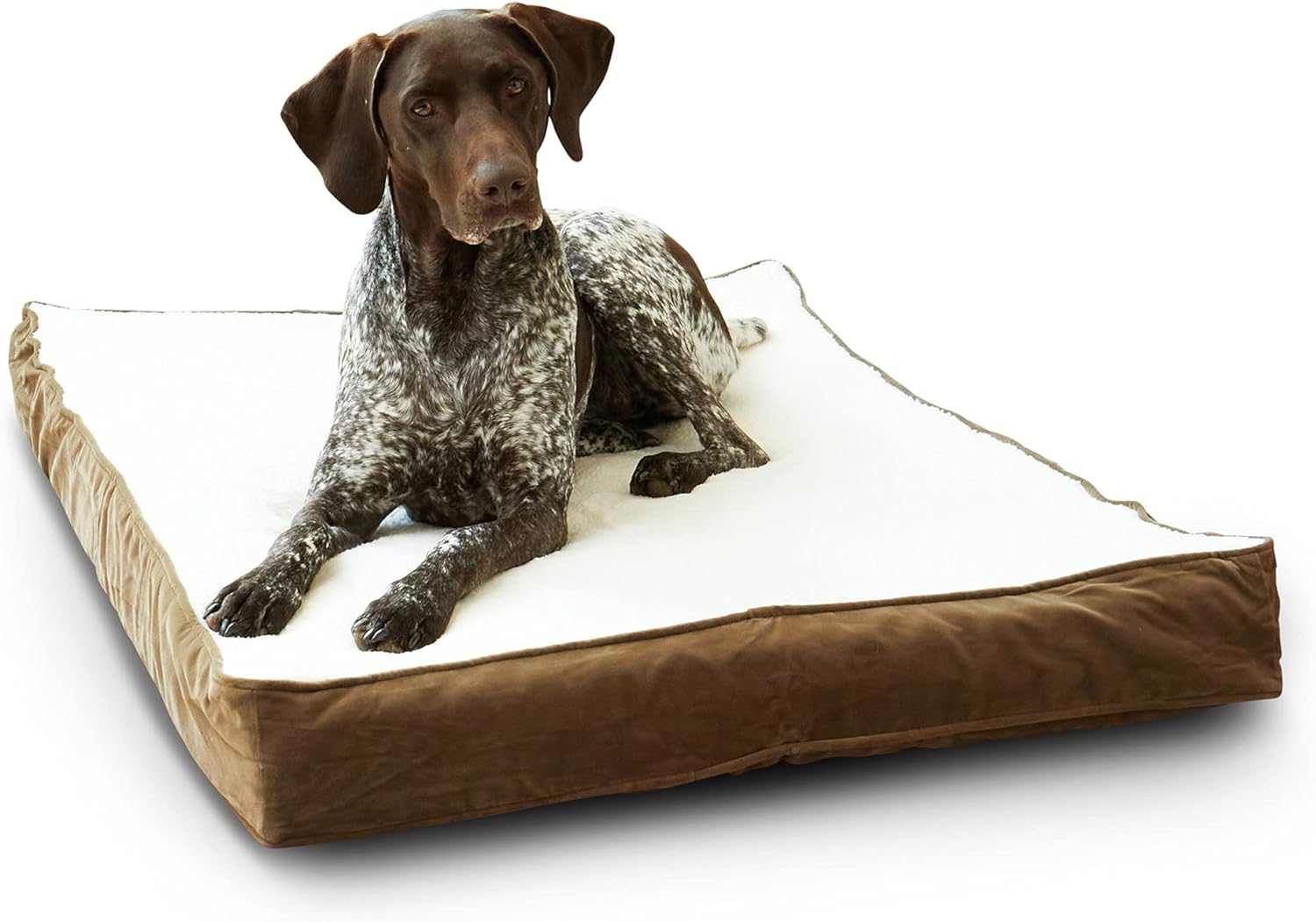 Happy Hounds Otis Orthopedic Pillow Dog Bed
