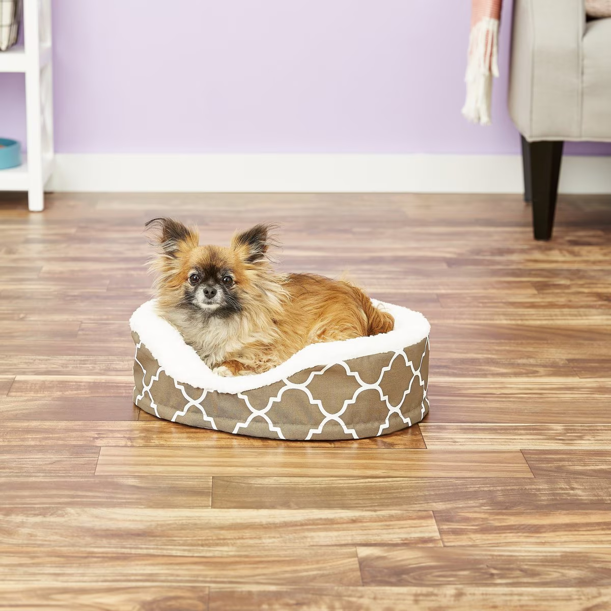 MidWest Orthopedic Bolster Dog Bed
