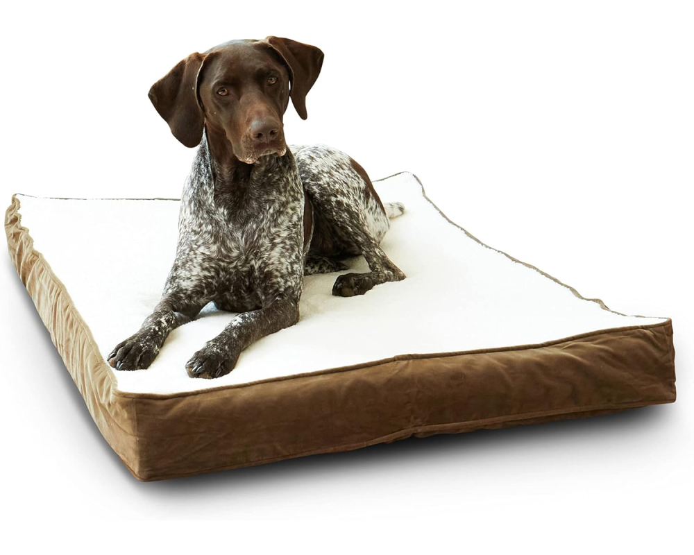 Oscar Rectangle Orthopedic Foam Sherpa Dog Bed 