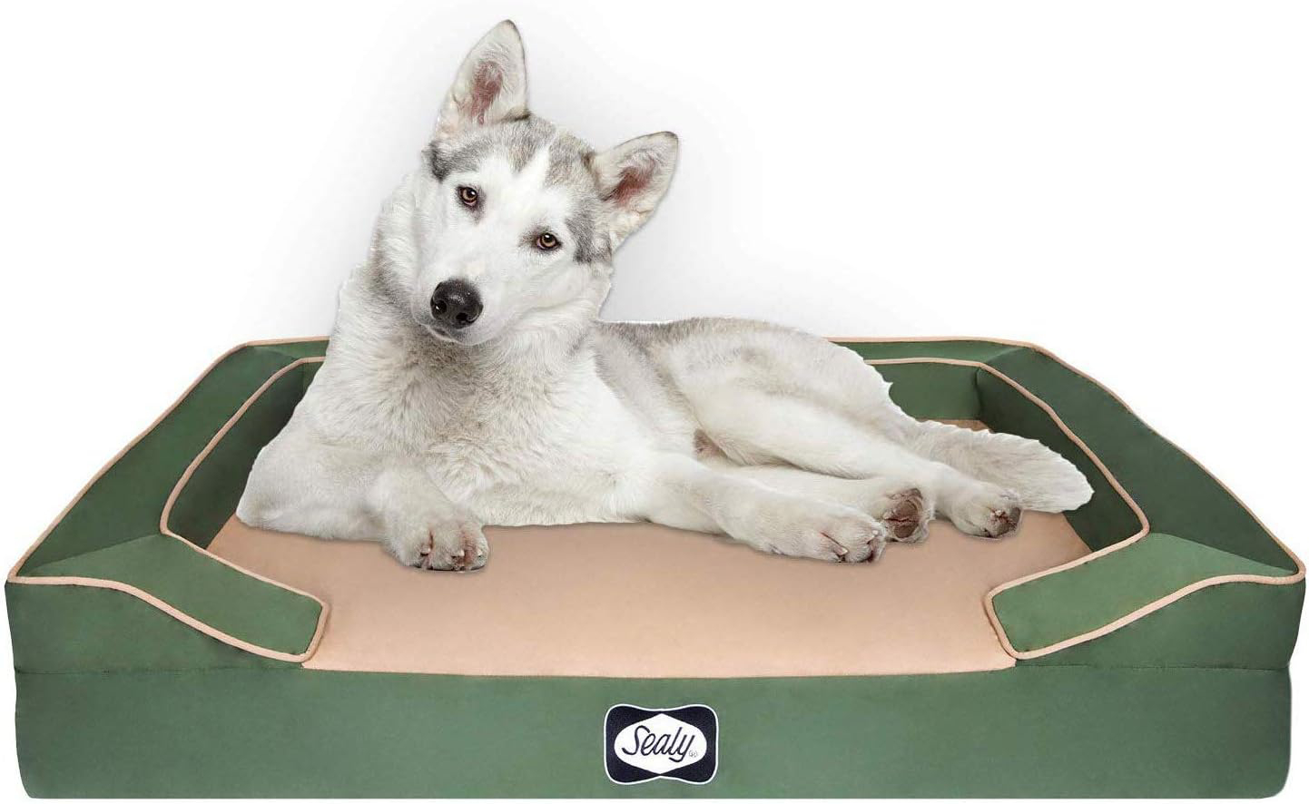 Sealy Lux Quad Layer Orthopedic Dog Bed