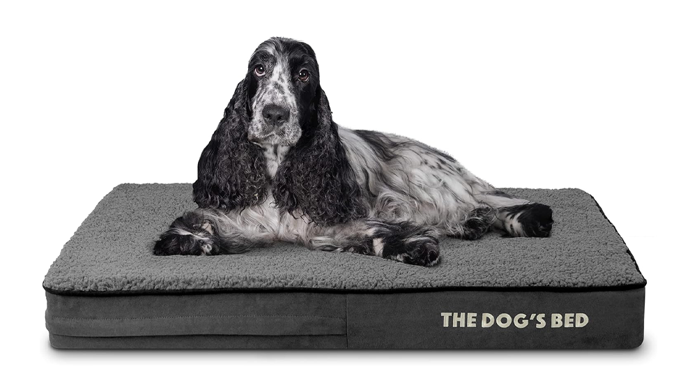 The Dog’s Bed Orthopedic Memory Foam Dog Bed