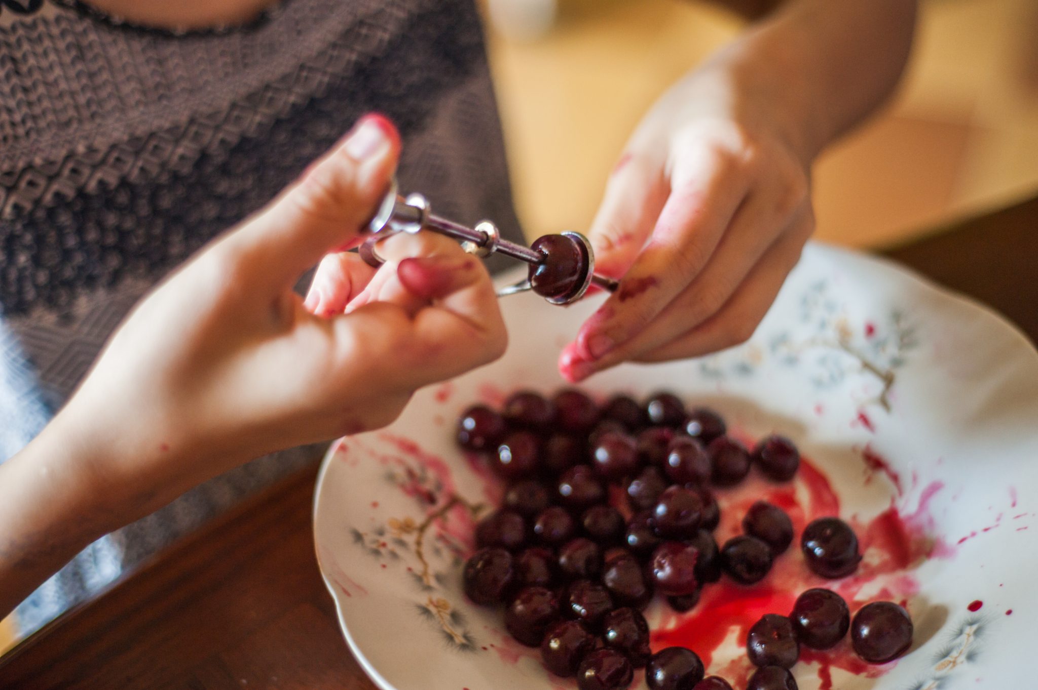 Can Dogs Eat Cherries? VetVerified Facts & Considerations Dogster