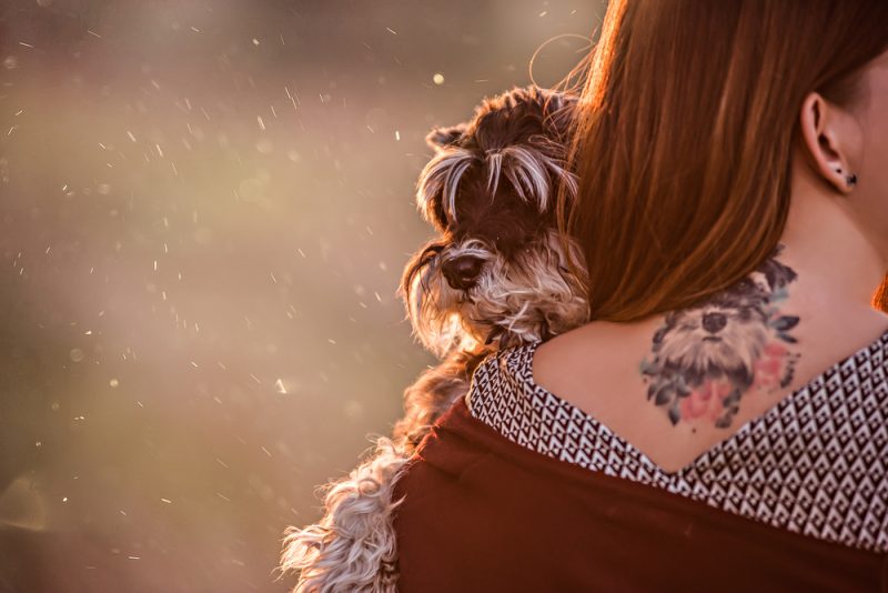 woman holding Shnauzer with dog portrait tattoo on her back