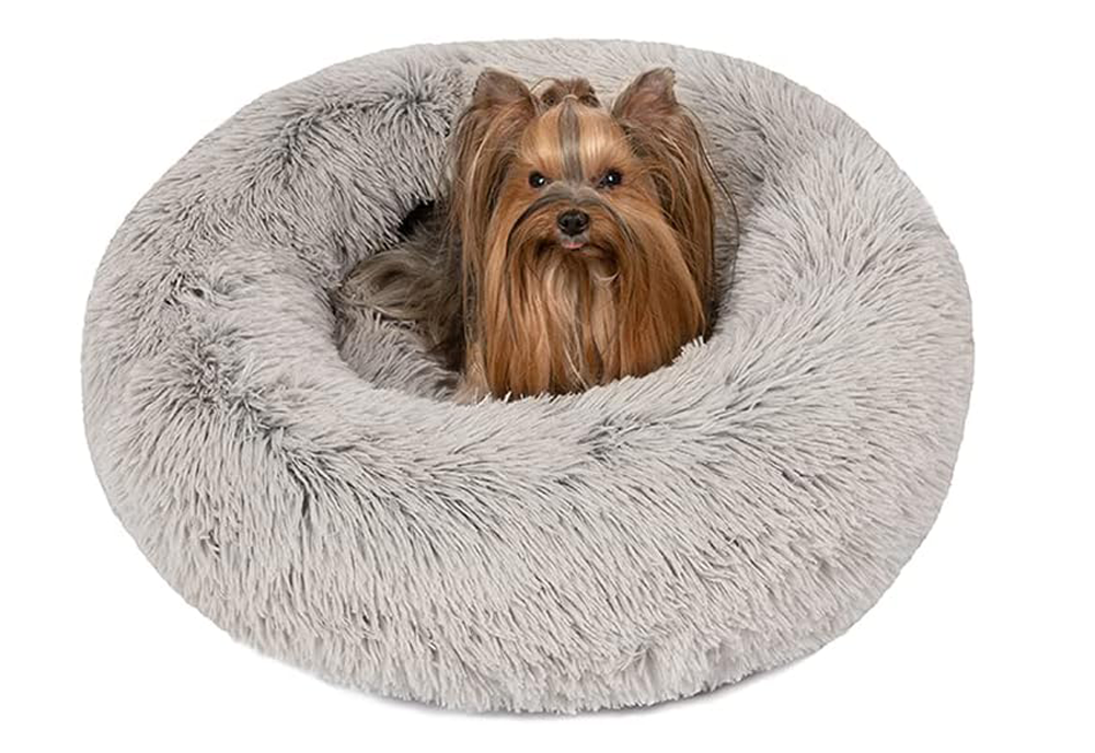 Friends Forever Donut Dog Bed