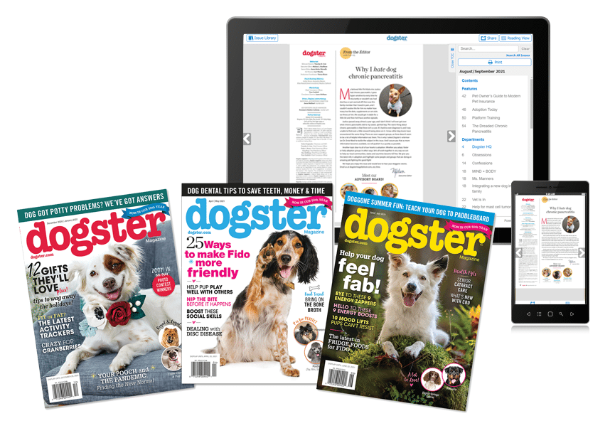 Dogster Magazine Subscription Dogster