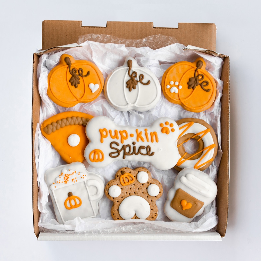 Top Dog Pumpkin Treats for Fall Dogster