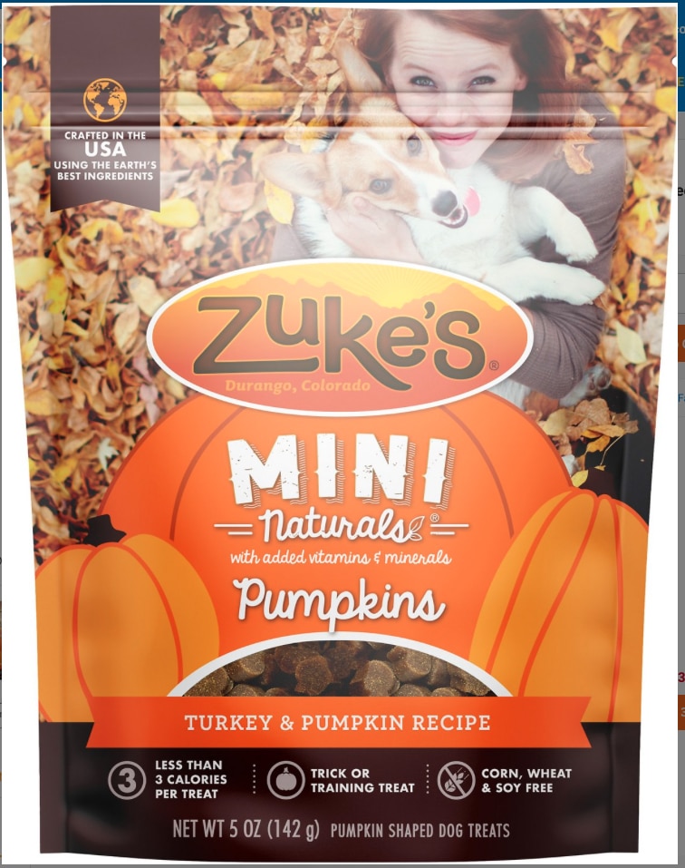 Top Dog Pumpkin Treats for Fall Dogster