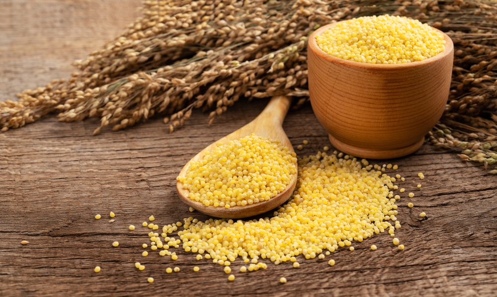 Millet in a spoon with twigs