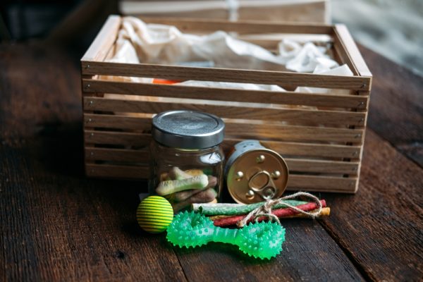 Subscription pet Box with Organic Treats Fun Toy and Bully Sticks