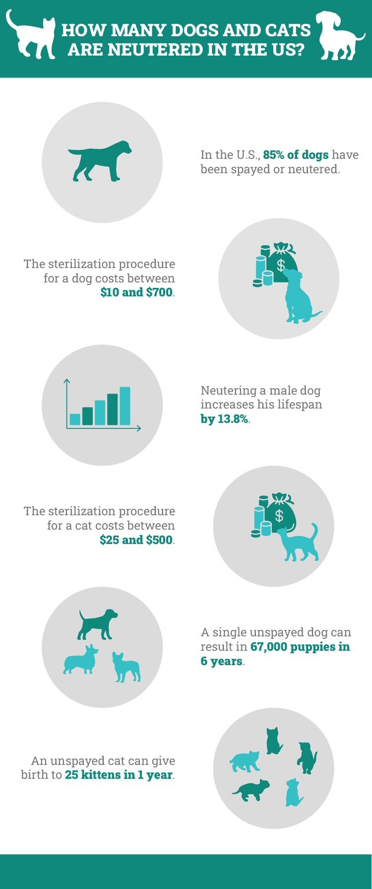 How many dogs and cats are neutered in the US