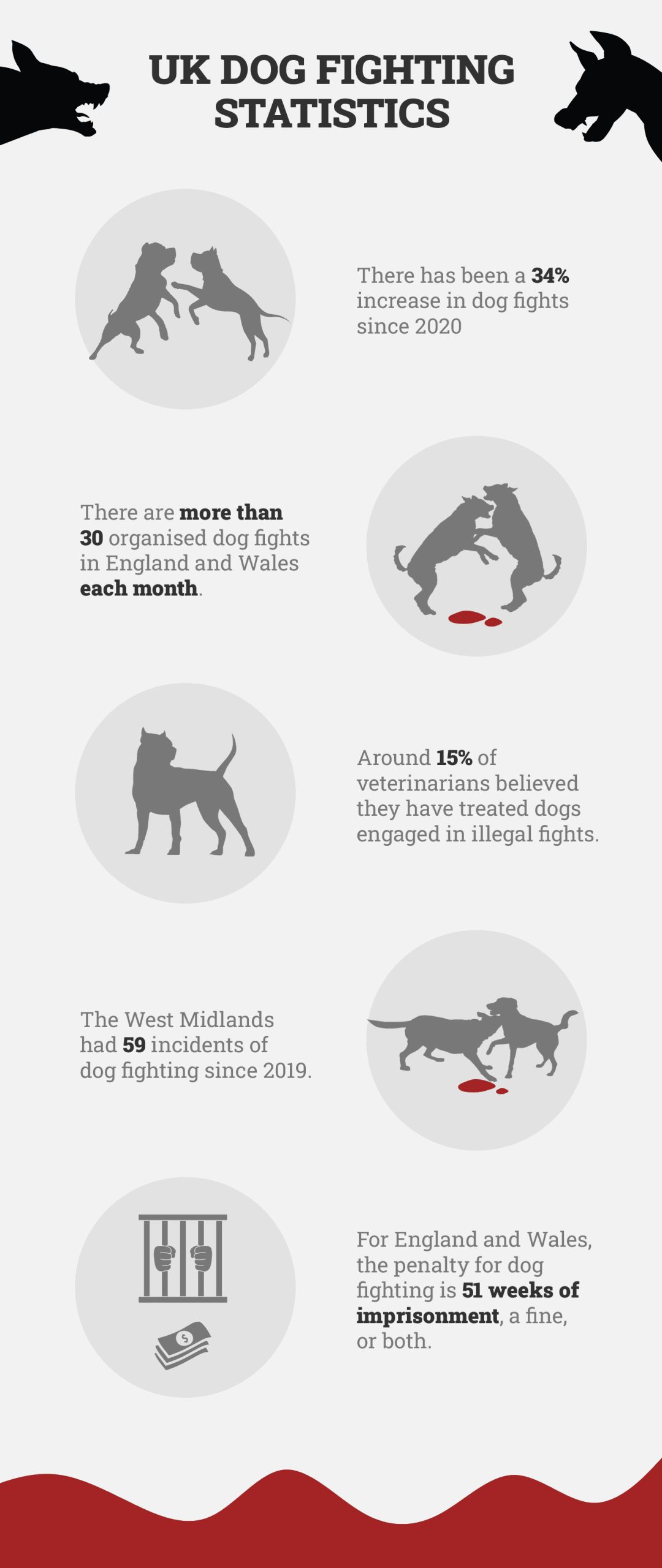 UK Dog Fighting Statistics