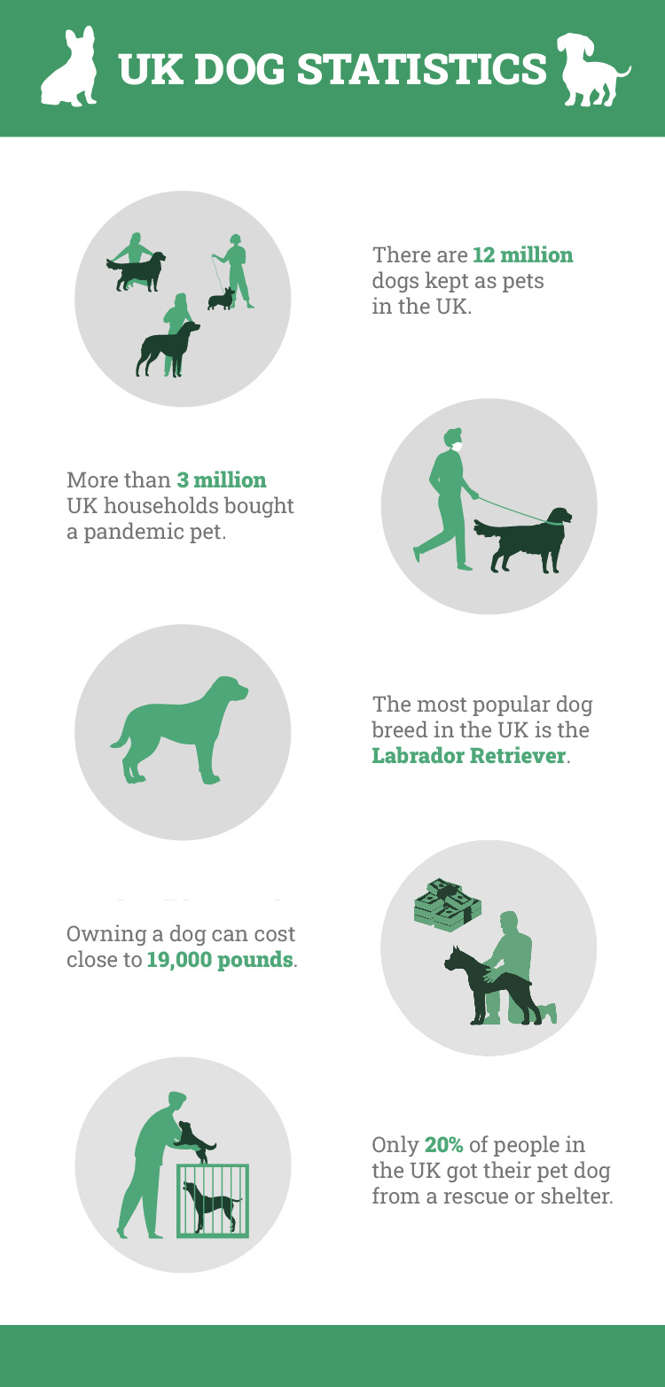 UK Dog Statistics