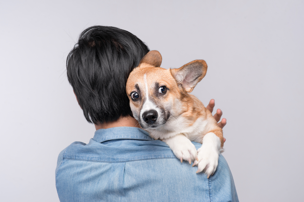 Person holding cute dog in his arms