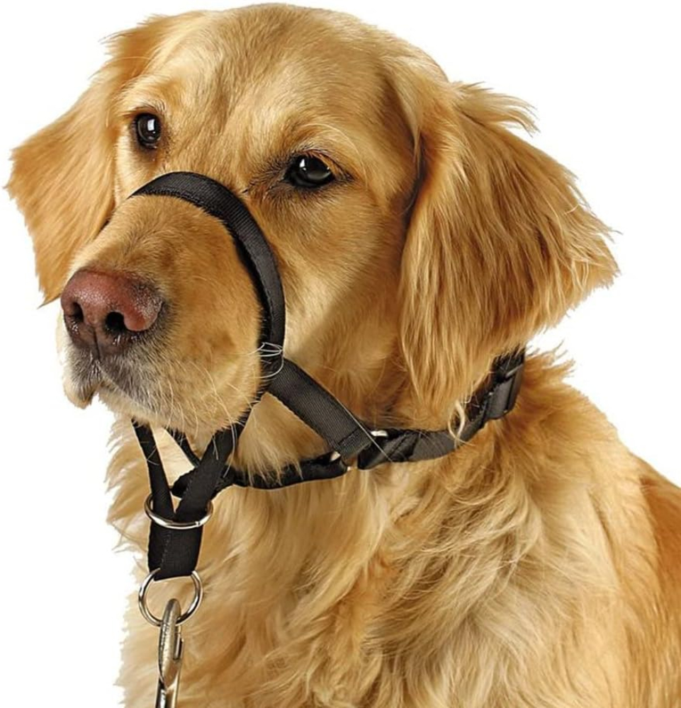 BARKLESS Dog Head Collar