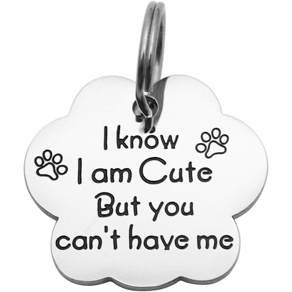 Beeshion Funny Pet Tag Stainless Steel Stamped Pet Tags