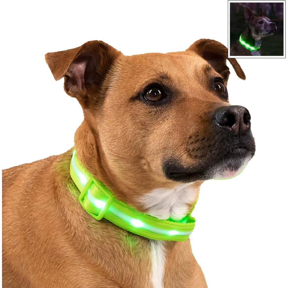 Blazin Brightest Light Up Dog Collars 