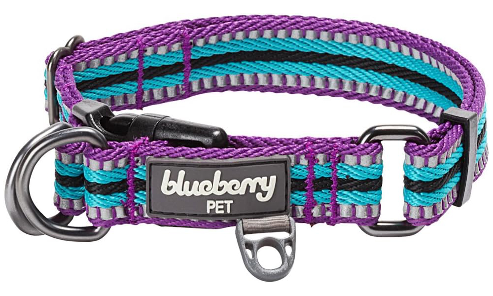 Blueberry Pet 10+ Colors 3M Reflective 