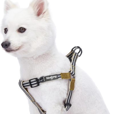Blueberry Pet Padded Dog Harness