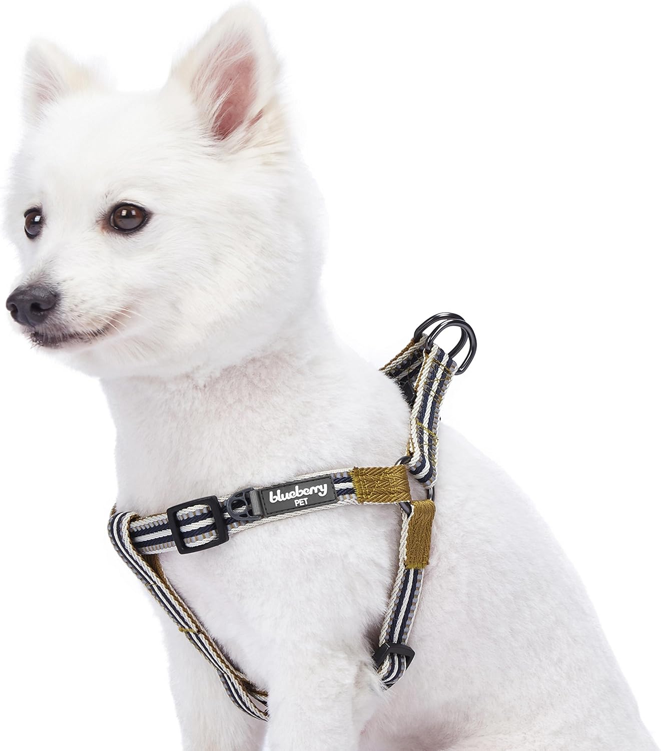 Blueberry Pet Soft & Safe 3M Reflective Neoprene Padded Dog Harness