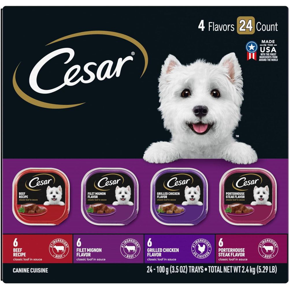 CESAR Adult Wet Dog Food Classic Loaf in Sauce Beef Recipe 
