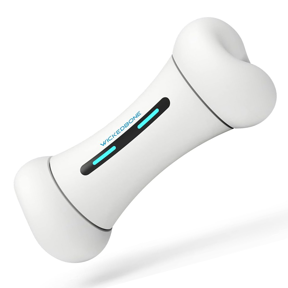 Cheerble Smart Bone Interactive Toy