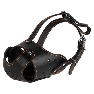 CollarDirect Leather Dog Muzzle for Staffordshire & Terrier