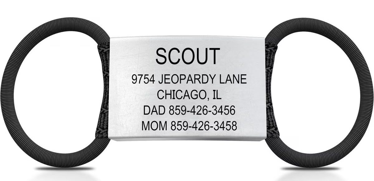 DOG iD Personalized Dog ID Tag