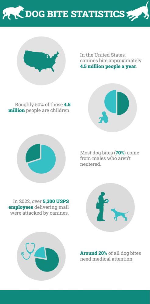 15 Dog Bite Statistics In 2026 Breeds Incidences Deaths Dogster