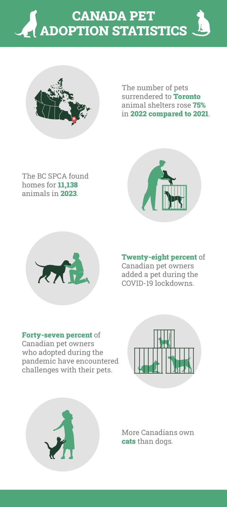 10 Canada Pet Adoption Statistics & Facts to Know in 2025 Dogster