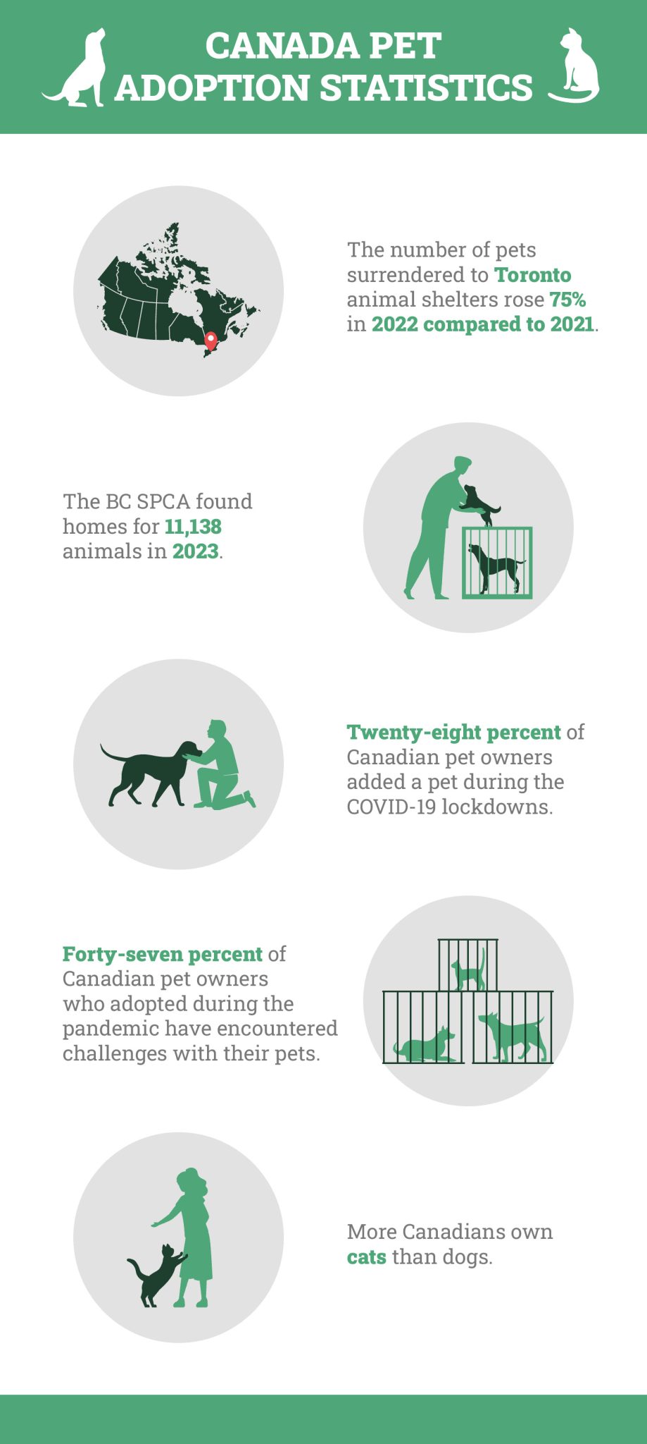 10 Canada Pet Adoption Statistics & Facts to Know in 2026 – Dogster
