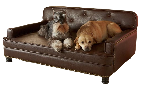 Enchanted Home Pet Library Sofa Cat & Dog Bed with Removable Cover