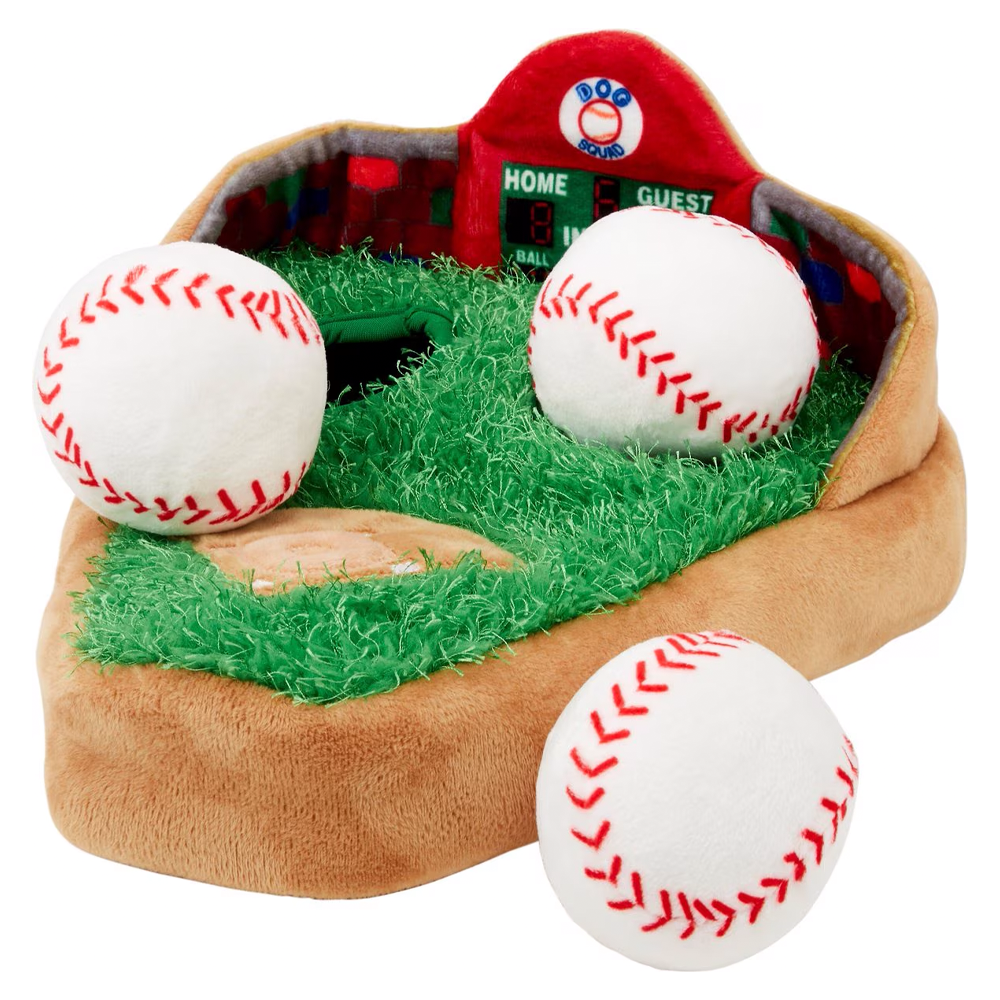 Frisco Baseball Stadium Hide