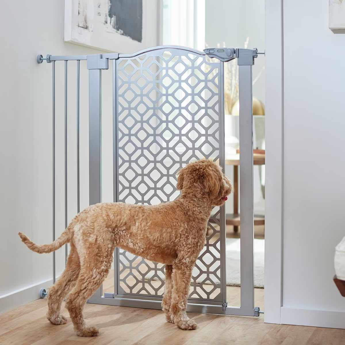 Frisco Metal Geometric Pattern Extra Tall Auto-Close Dog Gate