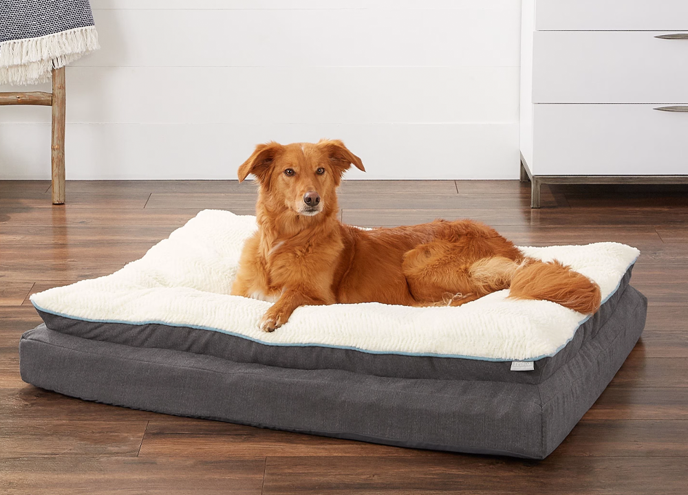 Frisco Plush Orthopedic Pillow