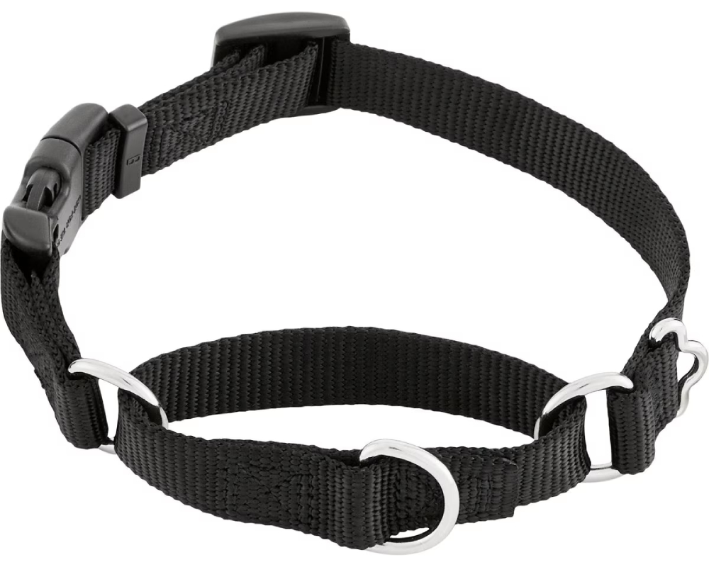 Frisco Solid Nylon Martingale Dog Collar with Buckle 